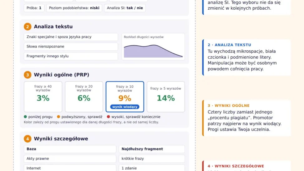 Schemat raportu ogólnego JSA: metryka, analiza tekstu, cztery wskaźniki PRP i wyniki szczegółowe